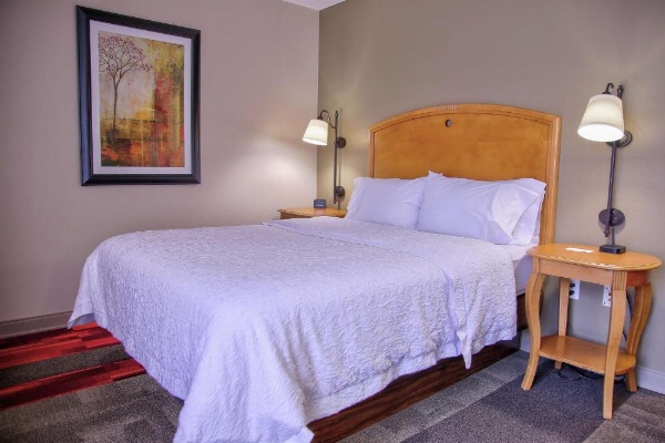 Hampton Inn By Hilton Cedar City, Ut image 20